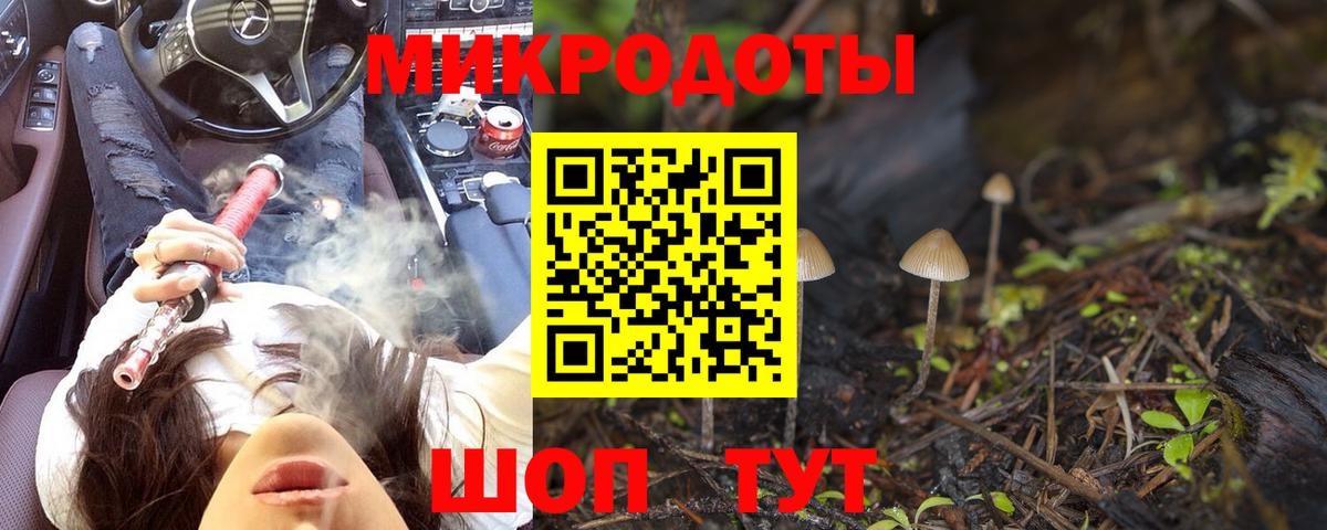 Кулебаки  Галлюциногенные грибы Cubensis  Вход с VPN  Псилоцибиновые грибы Magic Shrooms 